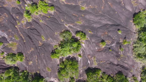 Inselberg-Ökosystem-Im-Regenwald-Von-Guayana.-Vertikale-Luftaufnahme.